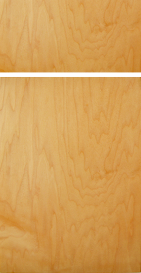 Washago Maple Honey